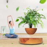 Donna che pratica yoga accanto a un grande albero in vaso con foglie verdi e simboli di ossigeno, creando un ambiente rilassante e naturale.