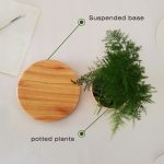 Piatto decorativo con base sospesa e piante in stile scientifico, perfetto come decorazione moderna e originale per ambienti di studio o ufficio.