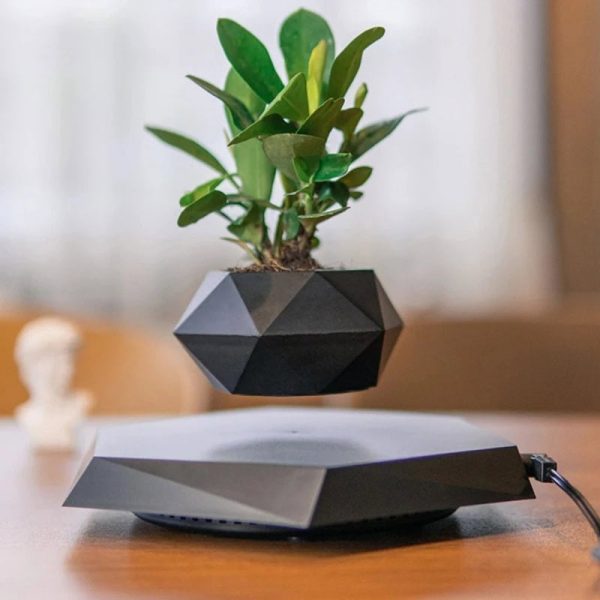 Pianta verde in vaso geometrico sospeso, decorazione scientifica moderna, oggetto di design per ambienti innovativi e creativi.