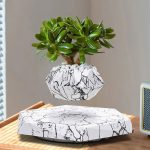 Pianta grassa in vaso di marmo decorativo, perfetta come oggetto scientifico o decorazione moderna, con foglie verdi lucide e vaso geometrico bianco con venature nere.