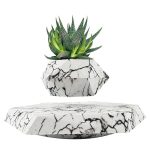 Piante grasse in vasi di marmo decorativi, perfette come oggetti scientifici e decorazioni per ambienti moderni e minimalisti.