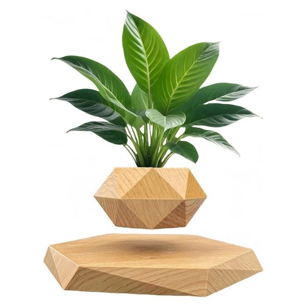 Pianta verde in vaso di legno con base geometrica, perfetta come decorazione scientifica o da ufficio, aggiunge un tocco naturale e innovativo agli ambienti interni.