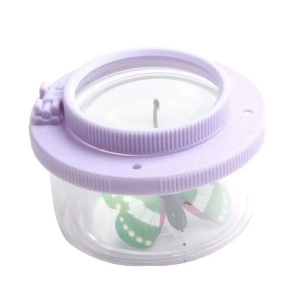 Lanterna decorativa con insetto in plastica, ideale come oggetto scientifico o decorativo per ambienti educativi e creativi.