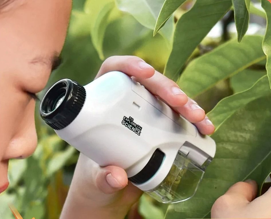 Microscopio portatile per osservare piante e insetti.