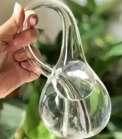 Vaso di vetro trasparente a forma di beuta, ideale come decorazione scientifica o oggetto da collezione. Perfetto per appassionati di scienza e decorazioni originali.