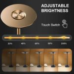 Luce regolabile con interruttore touch e dimmer, ideale per decorazioni scientifiche e ambienti moderni. Facile da controllare e personalizzare l'intensità luminosa.