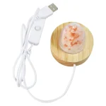 Pulsante di sale rosa dell'Himalaya con collegamento USB, decorazione scientifica originale per ambienti studiati e moderni.