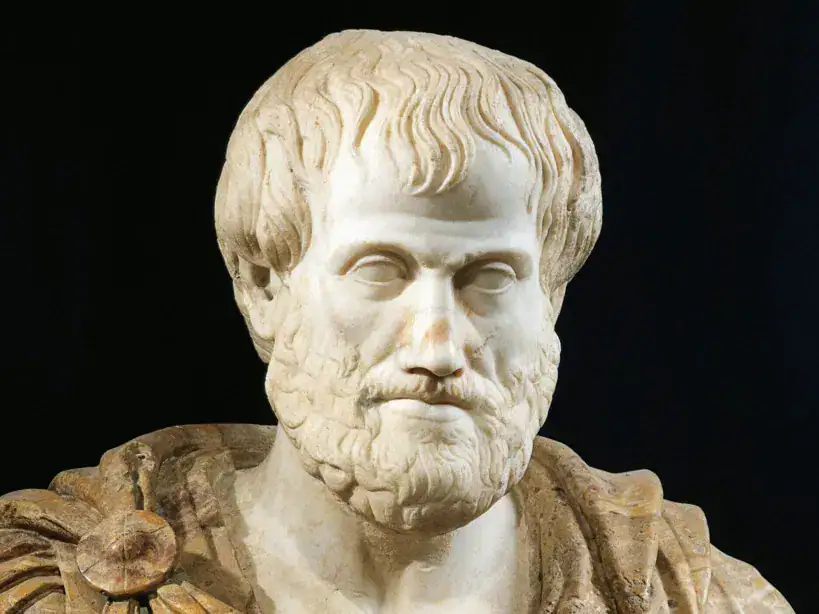 Sculptura in marmo di un filosofo antico con barba e capelli ricci, simbolo di saggezza e conoscenza storica. Perfetta come decorazione scientifica o oggetto da collezione.