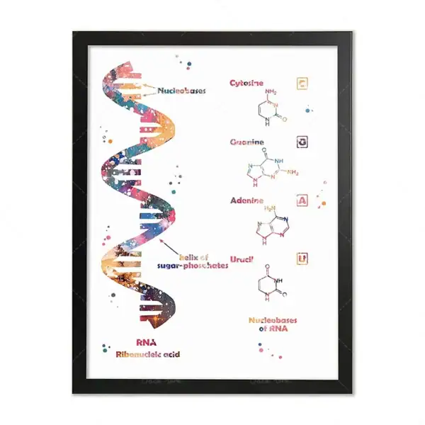Il DNA con le sue basi azotate e le strutture chimiche rappresentate in modo artistico, ideale come decorazione scientifica per studi o ambienti educativi.