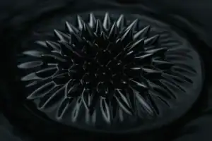 Modello di oggetto scientifico nero con punte appuntite e superficie lucida, ideale come decorazione da laboratorio o collezione educativa.