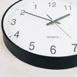 Orologio da parete con quadrante bianco e numeri neri, movimento al quarzo, design semplice e funzionale, ideale per ambienti scientifici o studi.