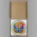 Cervello artistico colorato, rappresentato con acquerelli vivaci in una scatola di cartone, ideale come decorazione scientifica originale e creativa.