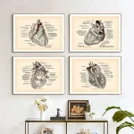 Diagrammi anatomici del cuore umano in stile vintage.