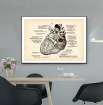 Disegno dettagliato di un cuore umano storico con annotazioni scientifiche, esposto come decorazione educativa e artistica in un ambiente moderno.