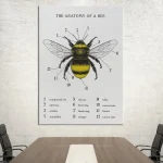 Diagramma dettagliato dell'anatomia di un'ape, con etichette per occhi, antenne, ali, zampe e altre parti, ideale per decorazioni scientifiche e studi educativi.