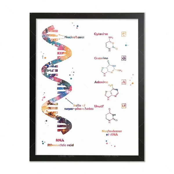 Rappresentazione artistica di una doppia elica di DNA con strutture chimiche di nucleotidi e molecole di acidi nucleici, ideale come decorazione scientifica.