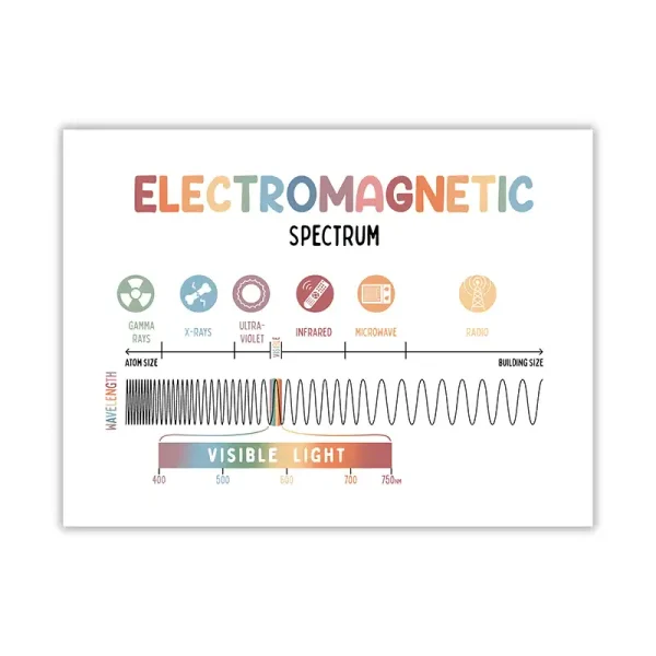 Diagramma dello spettro elettromagnetico con onde radio, microonde, infrarossi, luce visibile, ultravioletti, raggi X e raggi gamma.