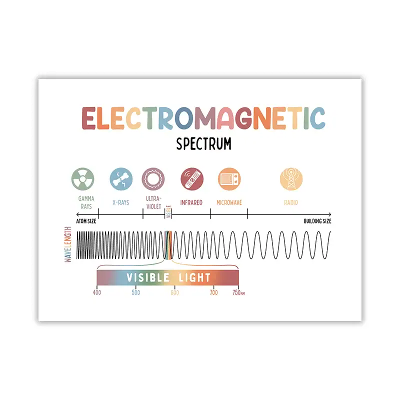 Diagramma dello spettro elettromagnetico con onde radio, microonde, infrarossi, luce visibile, ultravioletti, raggi X e raggi gamma.