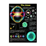 Diagramma educativo dell'atomo con particelle subatomiche come protoni, neutroni ed elettroni, evidenziando la struttura atomica e le particelle fondamentali.