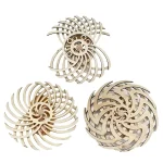 Oggetti scientifici decorativi in legno a forma di spirale 3D.