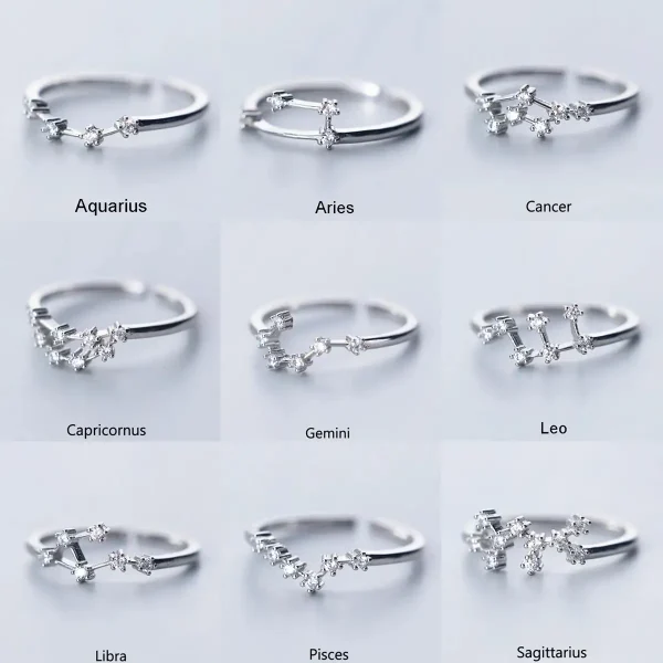 Anelli zodiacali in argento con simboli dei segni zodiacali, perfetti come decorazioni o regali personalizzati. Design elegante e dettagli raffinati rappresentano i segni astrologici.