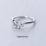 Anello elegante con simbolo zodiacale Capricorno decorato con piccole pietre brillanti, perfetto come regalo o accessorio di stile.