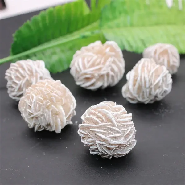Decorazioni scientifiche a forma di frutta, perfette per allestimenti educativi e decorativi. Realizzate con materiali di alta qualità, ideali per scuole, laboratori e ambienti didattici.