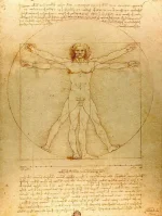 Disegno dettagliato del corpo umano di Leonardo da Vinci, illustrato con proporzioni e anatomia accurata, simbolo di arte e scienza rinascimentale.