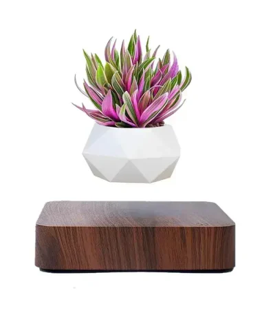 Vaso galleggiante per levitazione magnetica con pianta decorativa.