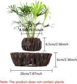 Piante artificiali in roccia decorativa, perfette come oggetti scientifici e decorazioni per ufficio o casa, con dimensioni di circa 8,5 cm di altezza e 20 cm di larghezza.