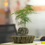 Oggetto decorativo con piante verdi in contenitori ispirati a oggetti scientifici.
