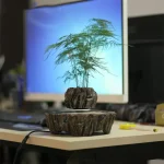 Pianta decorativa in vaso di legno naturale, perfetta come oggetto scientifico o decorativo, posizionata su una scrivania con uno sfondo di monitor.