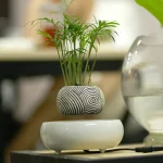 Pianta decorativa in vaso con motivi geometrici neri e bianchi, ideale come oggetto scientifico e decorativo per ambienti moderni.