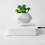 Pianta succulenta in vaso geometrico bianco, decorazione moderna e minimalista per ambienti di studio o ufficio.