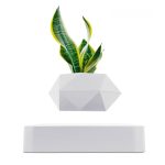 Piante in vaso geometrico bianco, decorazione scientifica moderna per ambienti interni, ideale per appassionati di botanica e design minimalista.