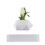 Pianta con fioritura bianca in vaso geometrico bianco, decorazione moderna e minimalista per ambienti scientifici o di design.