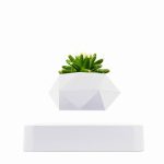 Pianta succulenta in vaso geometrico bianco, decorazione moderna e minimalista, perfetta per ambienti interni e uffici.