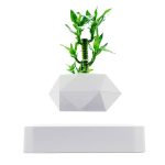 Piantana decorativa con lampadina e piante verdi, oggetto scientifico e decorativo per ambienti moderni e innovativi.