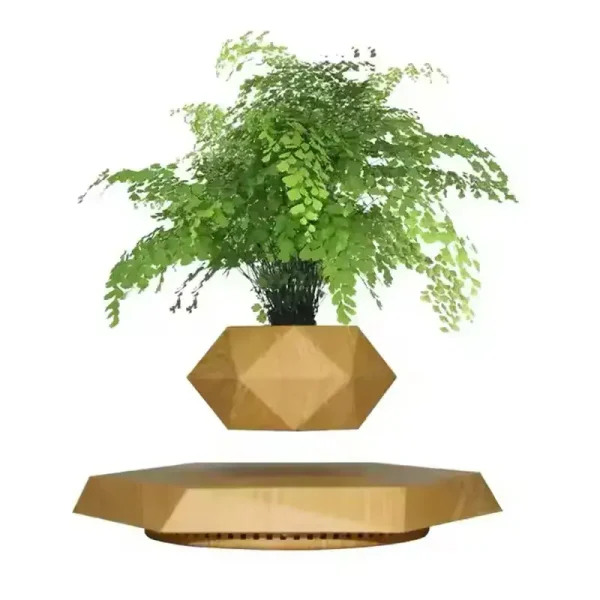 Vaso galleggiante in legno con pianta verde in levitazione, decorazione moderna e originale.