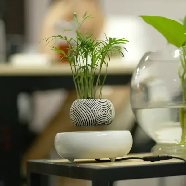 Piante in vasi decorativi scientifici, perfetti come oggetti di design e decorazione per ambienti moderni e scientifici, combinando estetica e funzionalità.