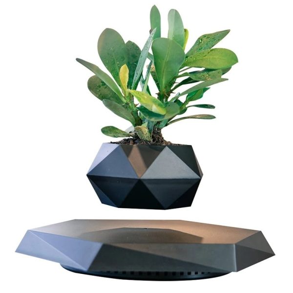 Pianta verde in vaso decorativo geometrico nero, ideale come oggetto scientifico e decorativo per ambienti moderni e studi.
