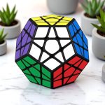 Puzzle Megaminx colorato con dettagli neri, posizionato su superficie bianca con piante succulente in vaso sullo sfondo.