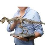 T-Rex scheletro fossile in esposizione, perfetto come decorazione scientifica per appassionati di paleontologia e storia naturale.