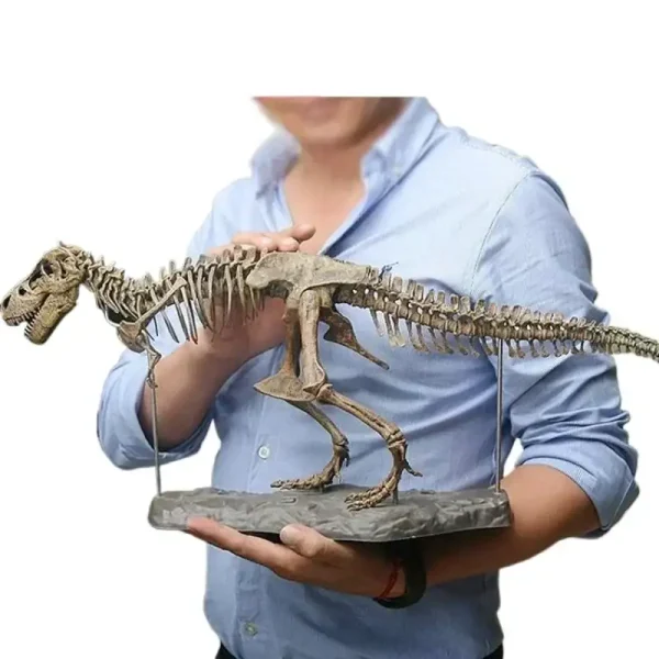 T-Rex scheletro fossile in esposizione, perfetto come decorazione scientifica per appassionati di paleontologia e storia naturale.
