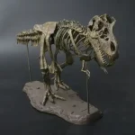 Modello di scheletro di T-Rex in resina, perfetto come decorazione scientifica o da collezione, con dettagli realistici e struttura stabile.