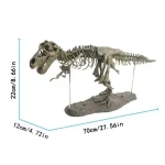 Scheletro di T-Rex decorativo, perfetto come oggetto scientifico e decorativo, con dimensioni di 70x22x12 cm, ideale per appassionati di dinosauri e collezionisti.