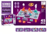 Gioco di circuito elettrico educativo per bambini di 6 anni, comprendente 45 pezzi per imparare l'elettricità in modo ludico.