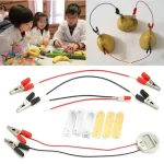 Componenti di circuiti elettrici con alligatori e resistori, utilizzati per esperimenti scientifici e didattici.