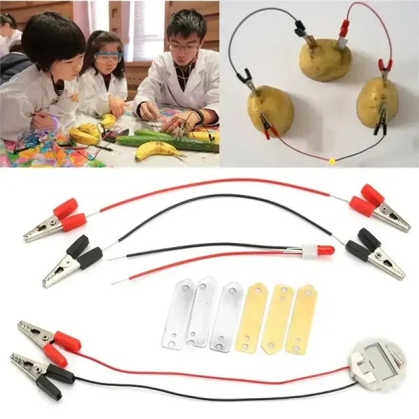 Componenti di circuiti elettrici con alligatori e resistori, utilizzati per esperimenti scientifici e didattici.