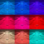Vaso luminoso con luci LED colorate che creano effetti di luce vivaci e dinamici, perfetto come decorazione scientifica o oggetto decorativo originale.
